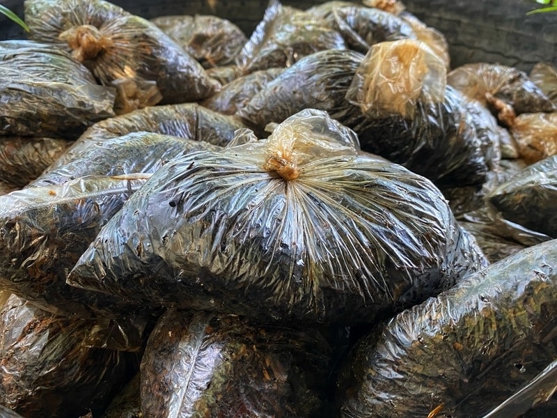 Natural Waste-Based Pesticides Main Gallery Image