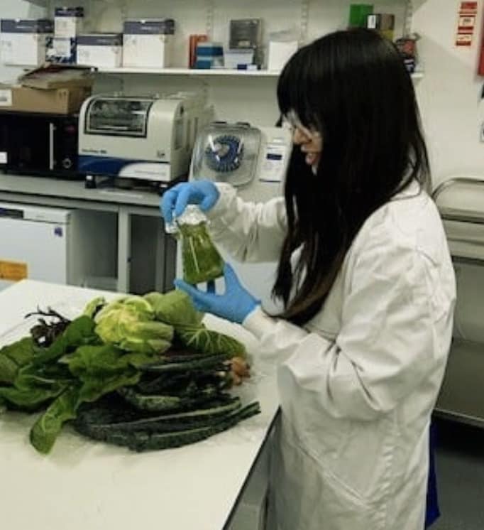 Upcycled Agricultural Waste Techniques Main Gallery Image