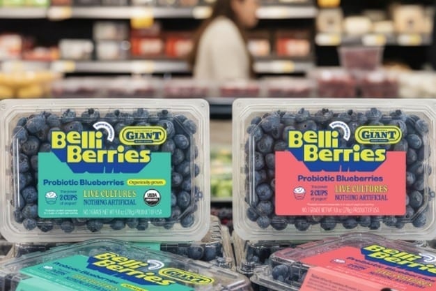 Probiotic Blueberry Variants Main Gallery Image