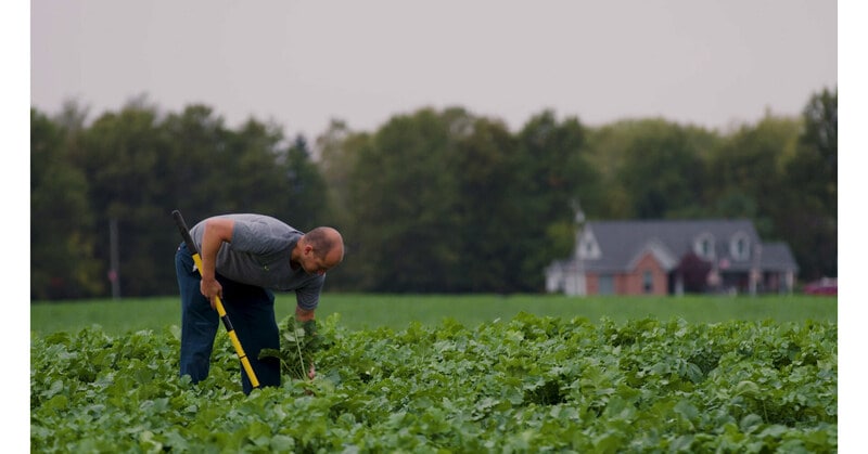 Supportive Regenerative Agriculture Initiatives Main Gallery Image