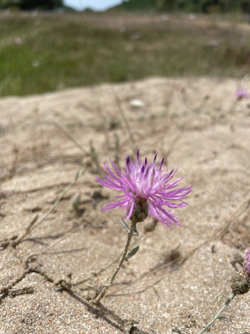 Sustainable Governance Initiatives Main Gallery Image