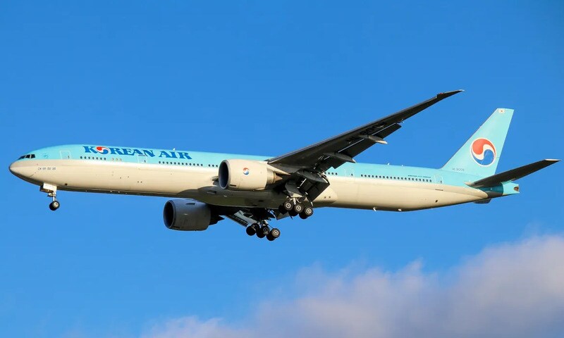 Eco-Friendly Airline Meal Containers Main Gallery Image