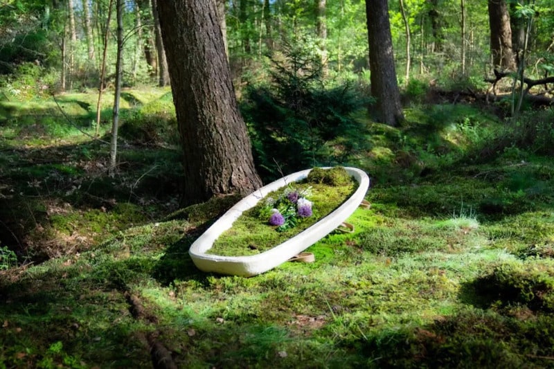 Mushroom-Based Casket Alternatives Main Gallery Image