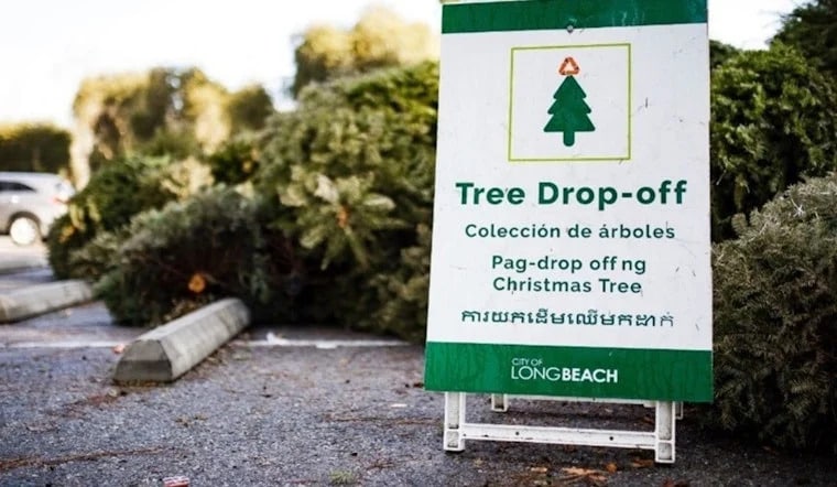 Holiday Tree Recycling Initiatives Main Gallery Image