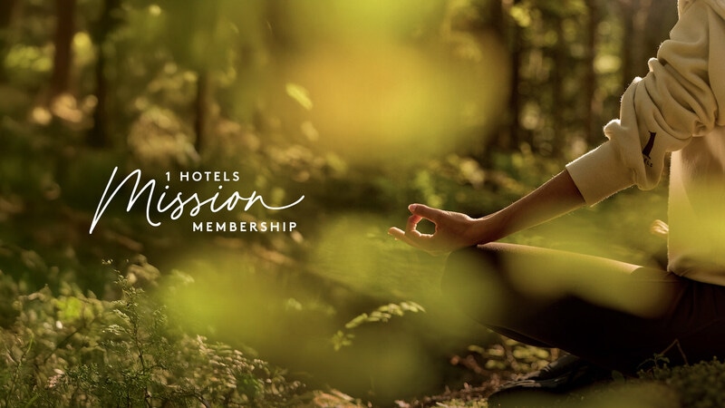 Sustainability-Focused Loyalty Hotel Memberships Main Gallery Image