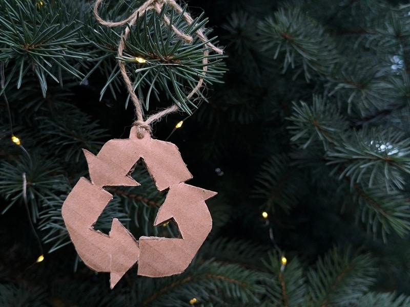 Tree-Made Fish Habitats Main Gallery Image