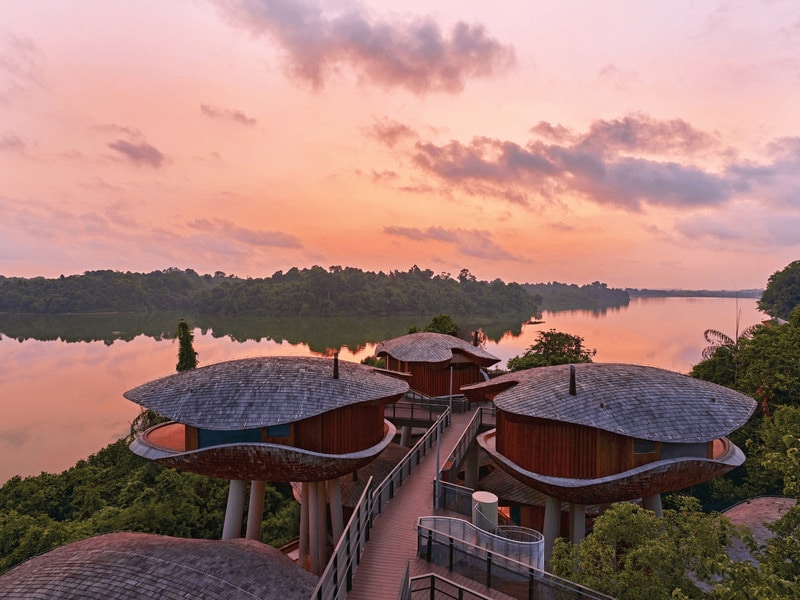 Rainforest Resort Debuts Main Gallery Image