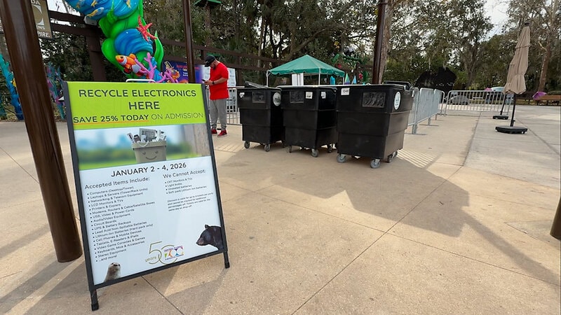 Zoo-Backed Electronic Drives Main Gallery Image