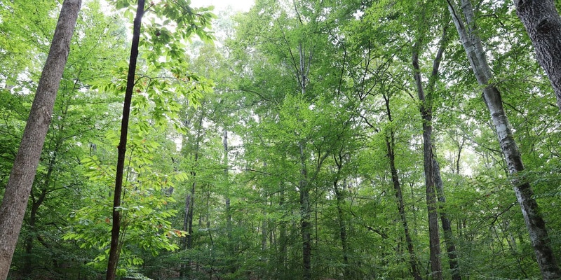 Co-Op-Supported Renewable Energy Projects Main Gallery Image