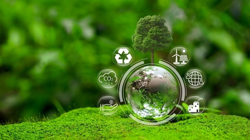 Remote Arborist Assessment Tools Main Gallery Image