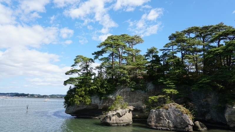 Conscious Waste Practices Main Gallery Image