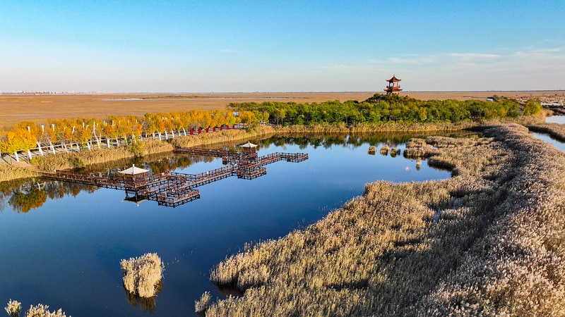 Biodiversity Photo Contests Main Gallery Image