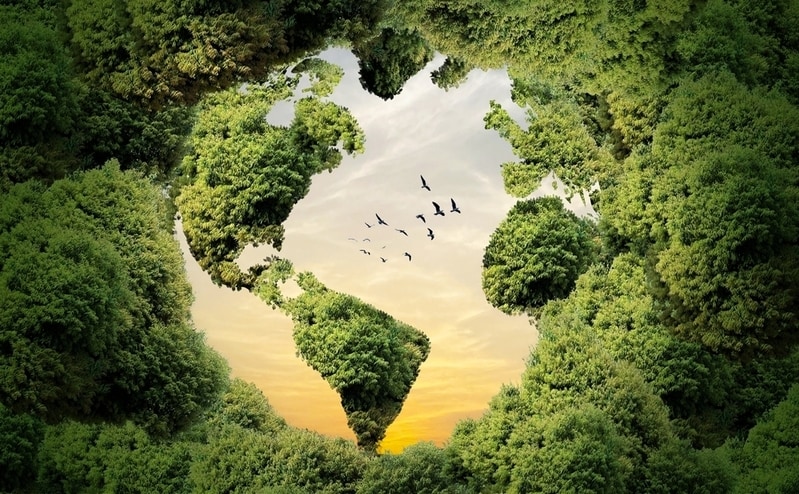 Global Environmental Initiatives Main Gallery Image