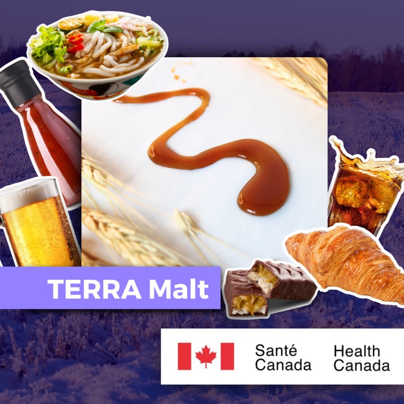 Upcycled Brewer Grain Malts Main Gallery Image