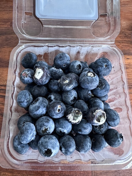 Shelf Life-Extending Films Main Gallery Image