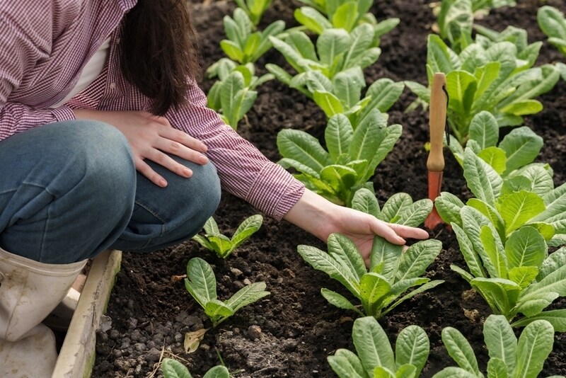 Community-Driven Climate Programs Main Gallery Image