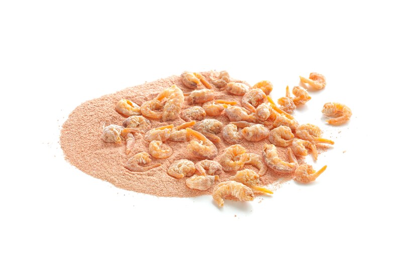 Sustainable Chitosan Projects Main Gallery Image