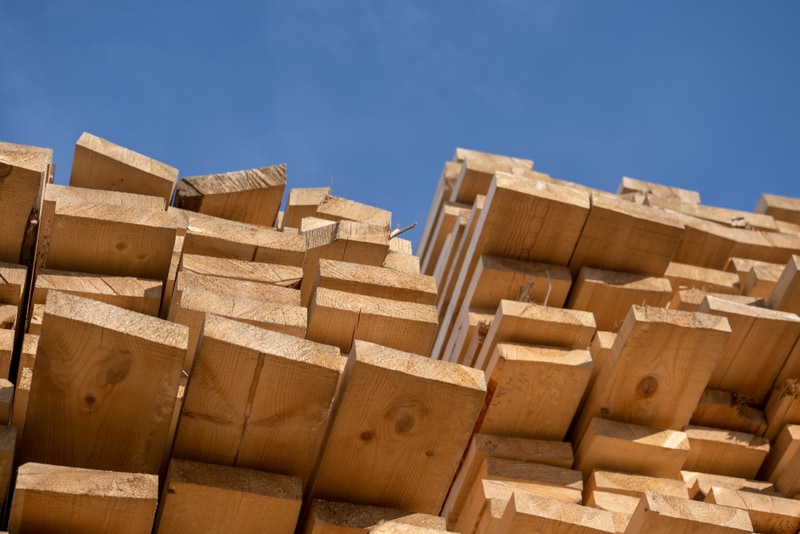 Forest Management Projects Main Gallery Image