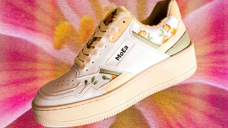 Painter-Inspired Shoe Capsules Main Gallery Image