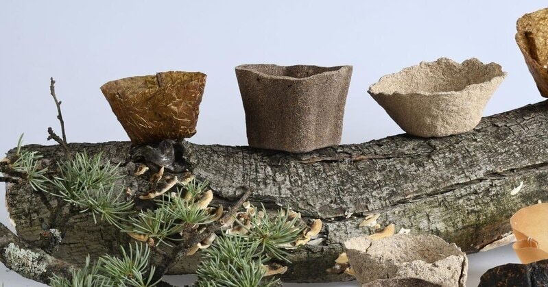 Circular Plant Pot Designs Main Gallery Image
