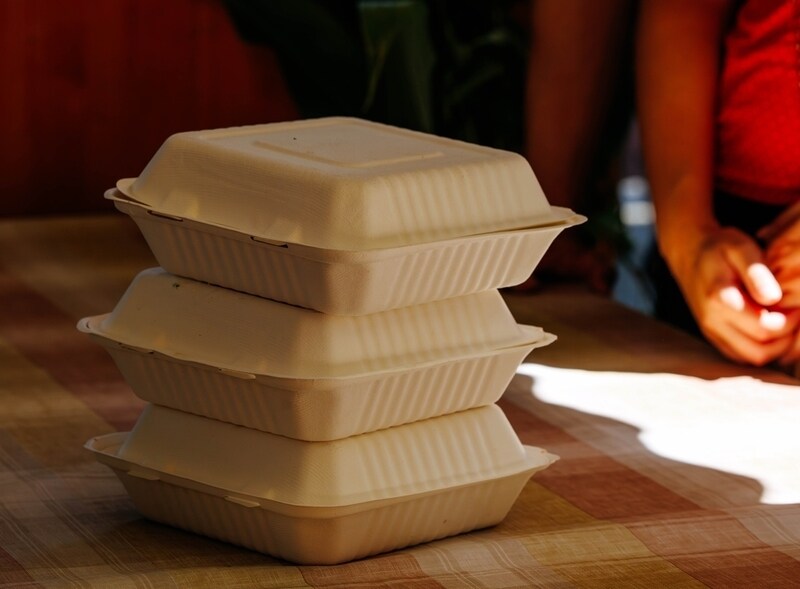 Sustainable Takeout Packagings Main Gallery Image