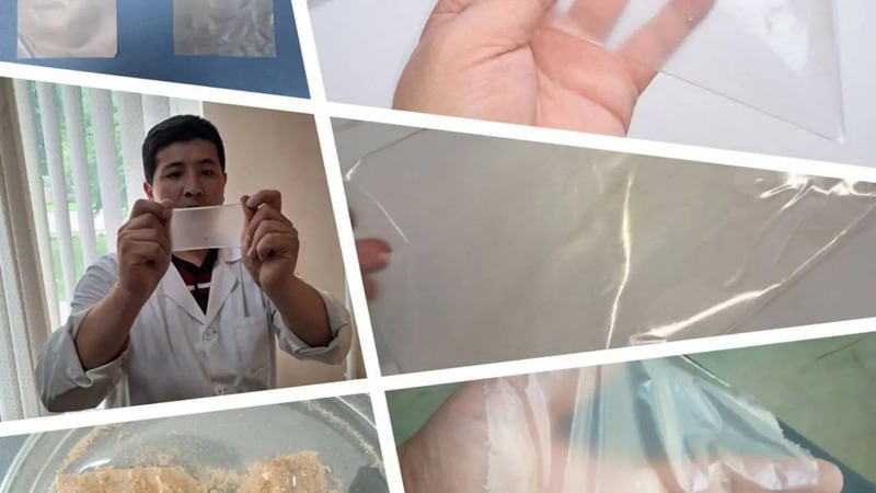 Biodegradable Plastic Wraps Main Gallery Image