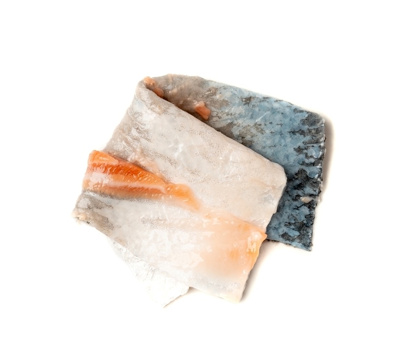 Fish Skin-Derived Biofilms Main Gallery Image