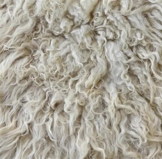 Wool-Based Packaging Solutions Main Gallery Image
