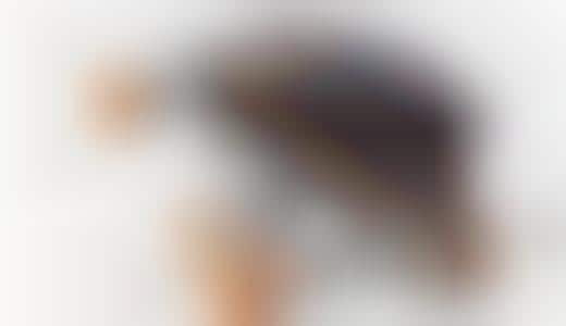 Sex Dolls For Dogs: