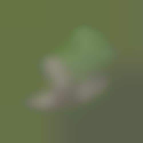 Geeky Twitter Icons
