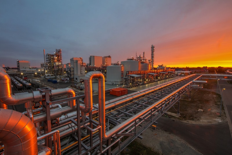 Commercialized Wood-Based Productions Main Gallery Image