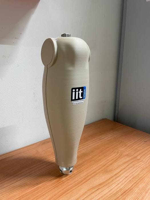 Eco-Friendly Prosthetic Covers Main Gallery Image