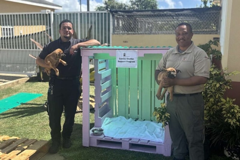 Low-Cost Recycled Doghouses Main Gallery Image