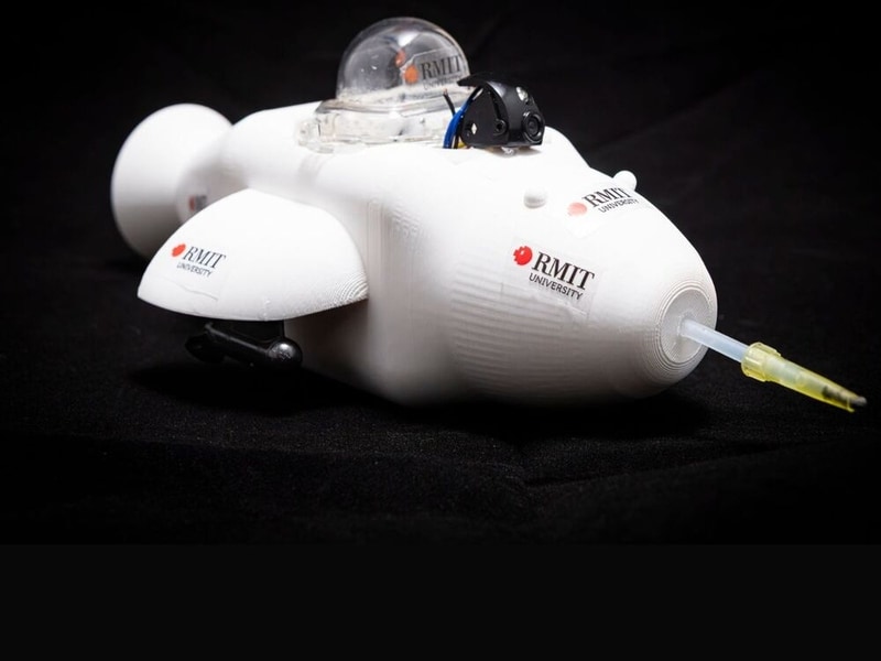 Robotic Cleaning Dolphins Main Gallery Image