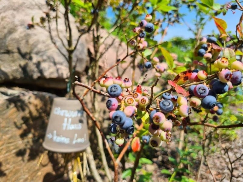 Climatic Health Resorts Main Gallery Image