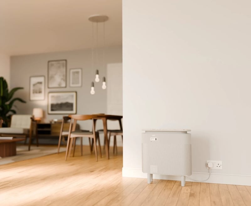 Renter-Friendly Home Batteries Main Gallery Image