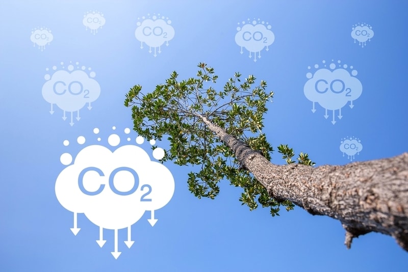 Informative AI-Based Net-Zero Efforts Main Gallery Image