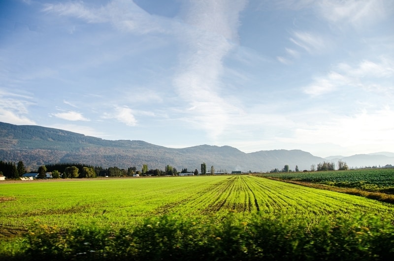 Natural Capital Investment Funds Main Gallery Image