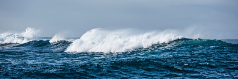 Ocean Wave AI Platforms Main Gallery Image