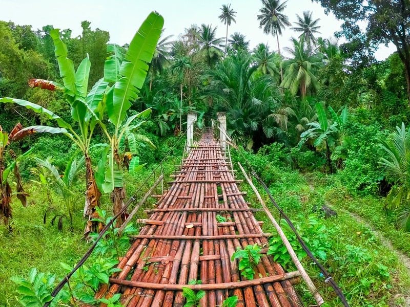 Ecological Bamboo Initiatives Main Gallery Image