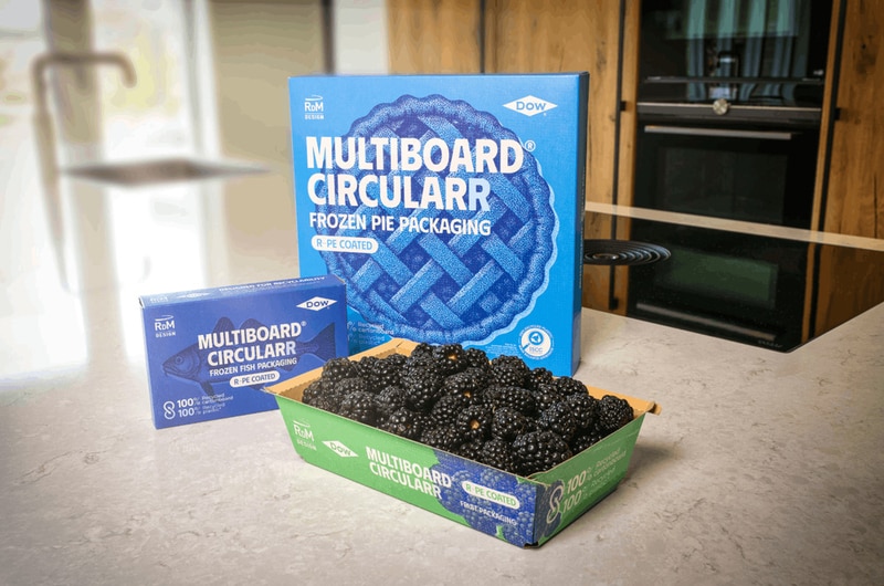 Fiber-Based Food Packaging Main Gallery Image
