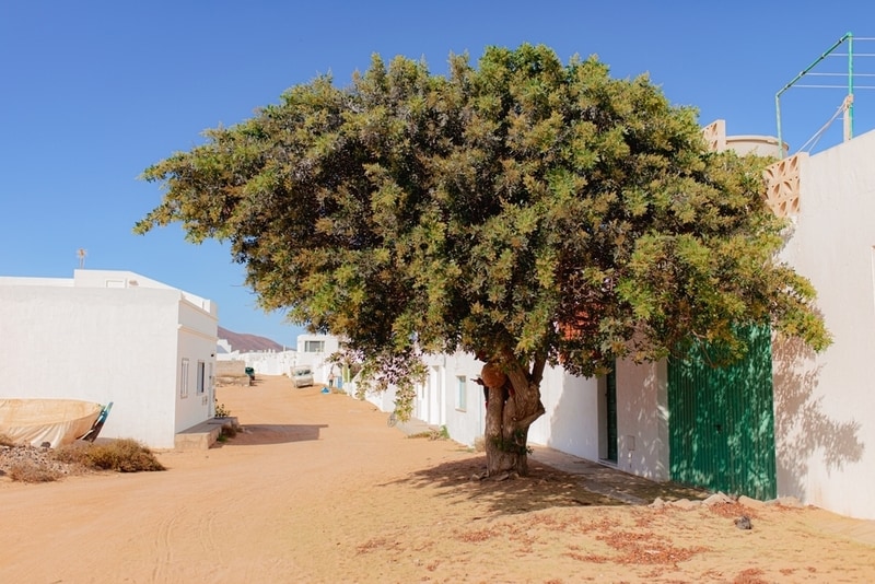 Slow-Travel Beach Destinations Main Gallery Image