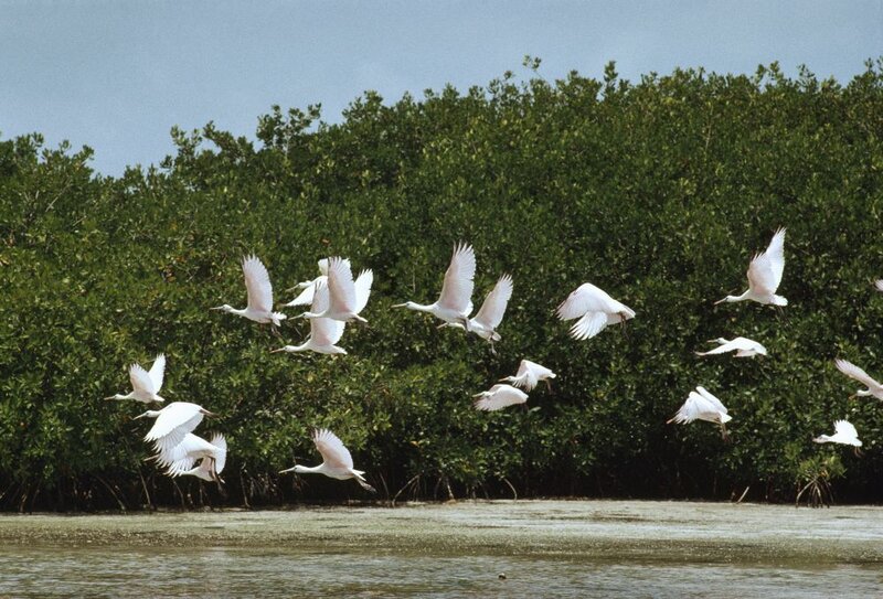 Wetland Conservation Grants Main Gallery Image
