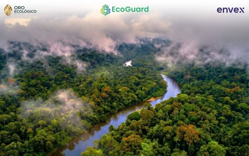 Digitized Carbon Market Ecosystems Main Gallery Image