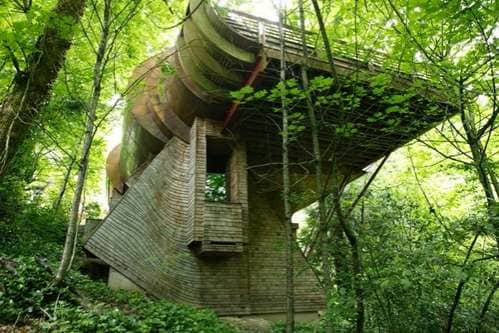 Forest Canopy Lofts