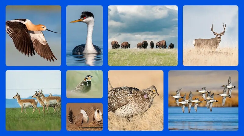 Rancher-Led Grassland Funds Main Gallery Image