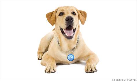 Social Networking for Pets