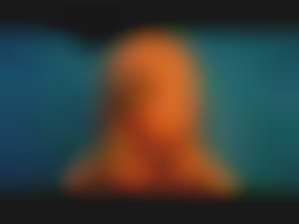 Pricey Celeb Emulation