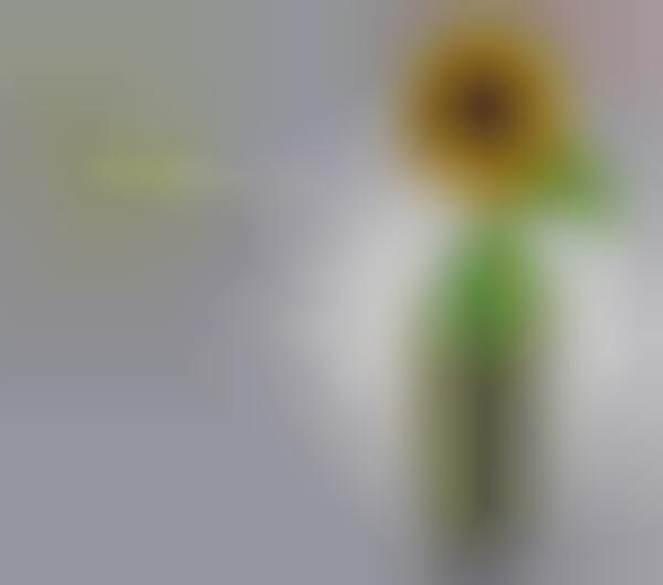 Digitized Daisies
