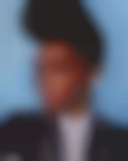 Feminized Pompadours